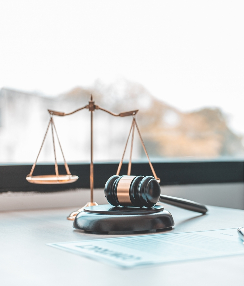 How Florida Courts Weigh Family Law Decisions Across the State