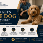 Who Gets the Dog in a Divorce? Pet Custody Rules in Florida