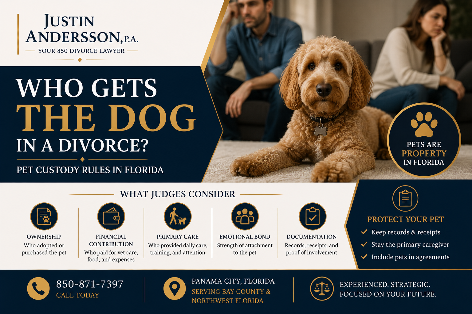 Who Gets the Dog in a Divorce? Pet Custody Rules in Florida